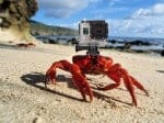 Ma részesedést vehetsz a GoPro cégben