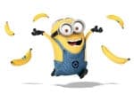 mesefal_minion