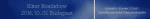 sikerroadshowbanner