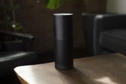 alexa