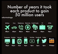 poen_infografika