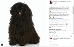 puli_vs-paprika-instagram
