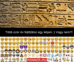 tobbezerev-fejlodese