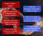 chatbot-kutatas-statisztika (1)