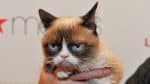 grumpycat