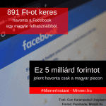 facebook-bevetele-profitja