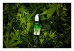 cbd-olaj-kenderolaj-garnier