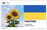 pantone-ukran-szinek
