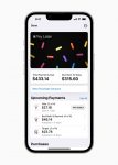 apple-pay-later