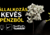 Vállalkozás indítás kevés pénzből. Üzleti stratégia a Twitch és a Nike példája alapján