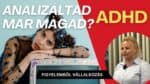 Itt mindenki figyelemzavaros? Itt mindenki! Ez egy piac! Vállalkozók versenye