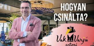 Hogyan lett sikeres a Vakvarjú? Sikeres cégek