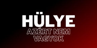 „Nem hülyültem meg, hogy fizessek a felmérésért.” Na de akkor ki fizeti meg a kisvállalkozó idejét?